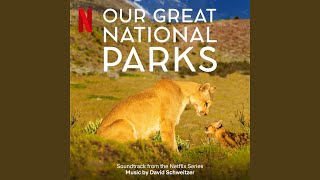 Our Great National Parks
