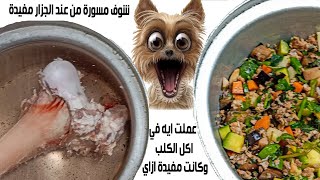 طريقة طهي طعام الكلب /فوائد العضم للكلب  / سامر غازي