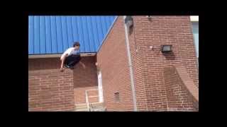 9 Foot Cat Leap