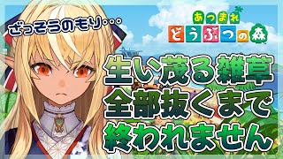 【あつまれ どうぶつの森】ざっそうの森！？これはまずいよ！😨【ホロライブ/不知火フレア】
