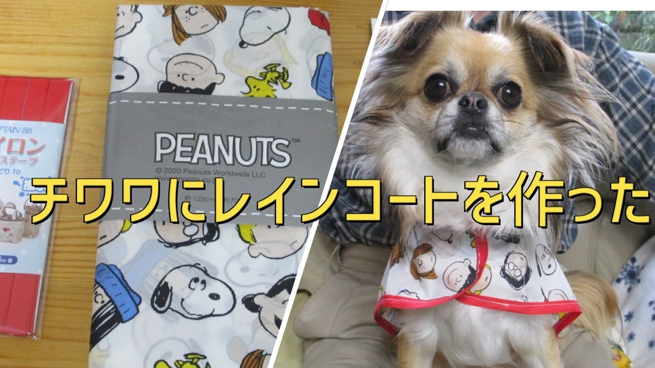 犬服作りレインコートを手作りしてみた 犬服作りカッパ Youtube