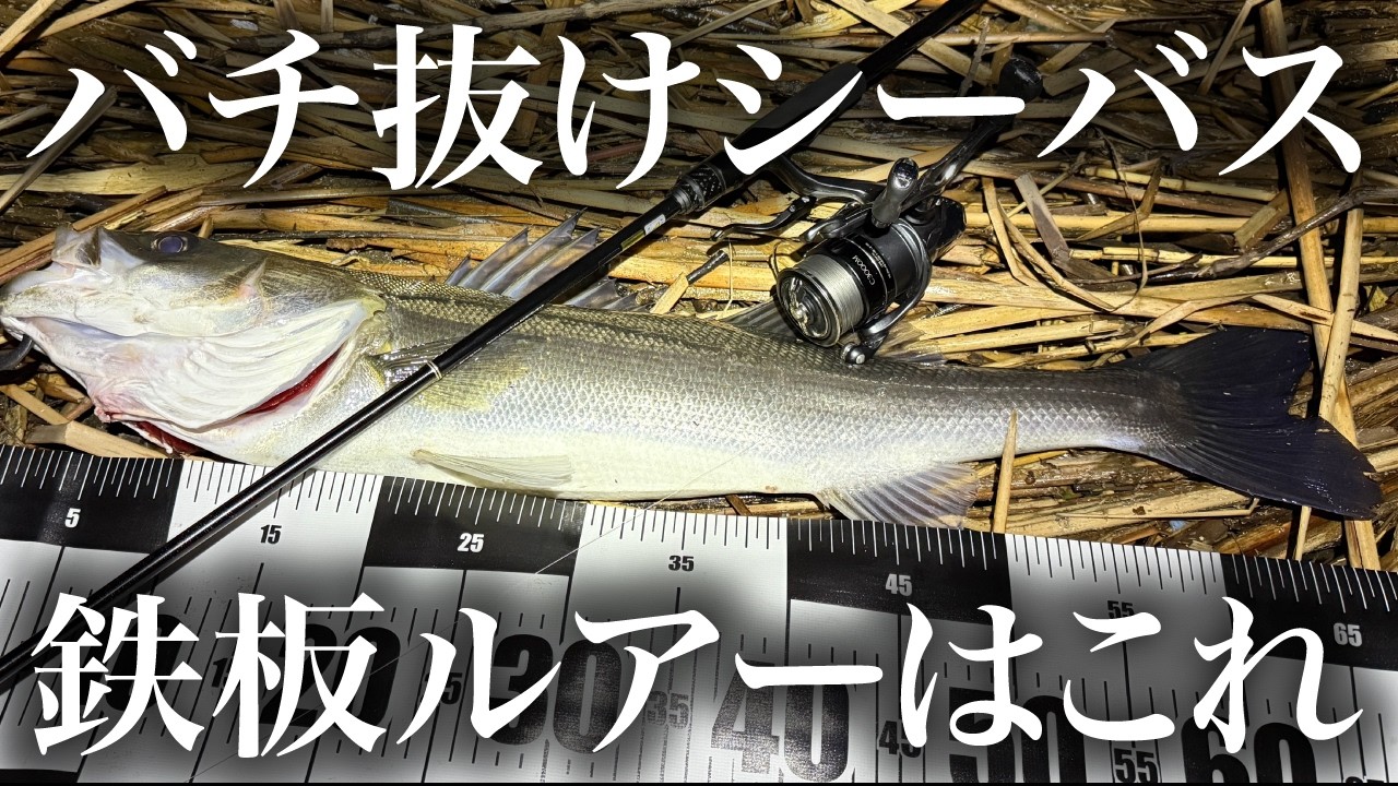 ３月川のバチ抜けパターン、鉄板ルアーはこれに間違いないと思う。
