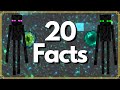 Minecraft 20 awesome enderman facts