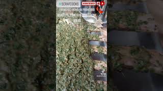 Frenched Bone-In Prime Rib Roast Pt 3 The Rub Beef 7 Bone 30Lbs