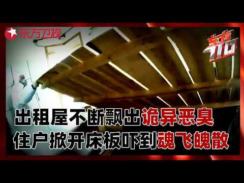 出租屋不知为何不断飘出诡异恶臭，住户掀开床板后被吓到魂飞魄散！#东方110