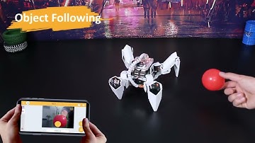 SunFounder PiCrawler AI Robot kit for Raspberry Pi, Camera Module, Multi-Function DIY Bionic Robots