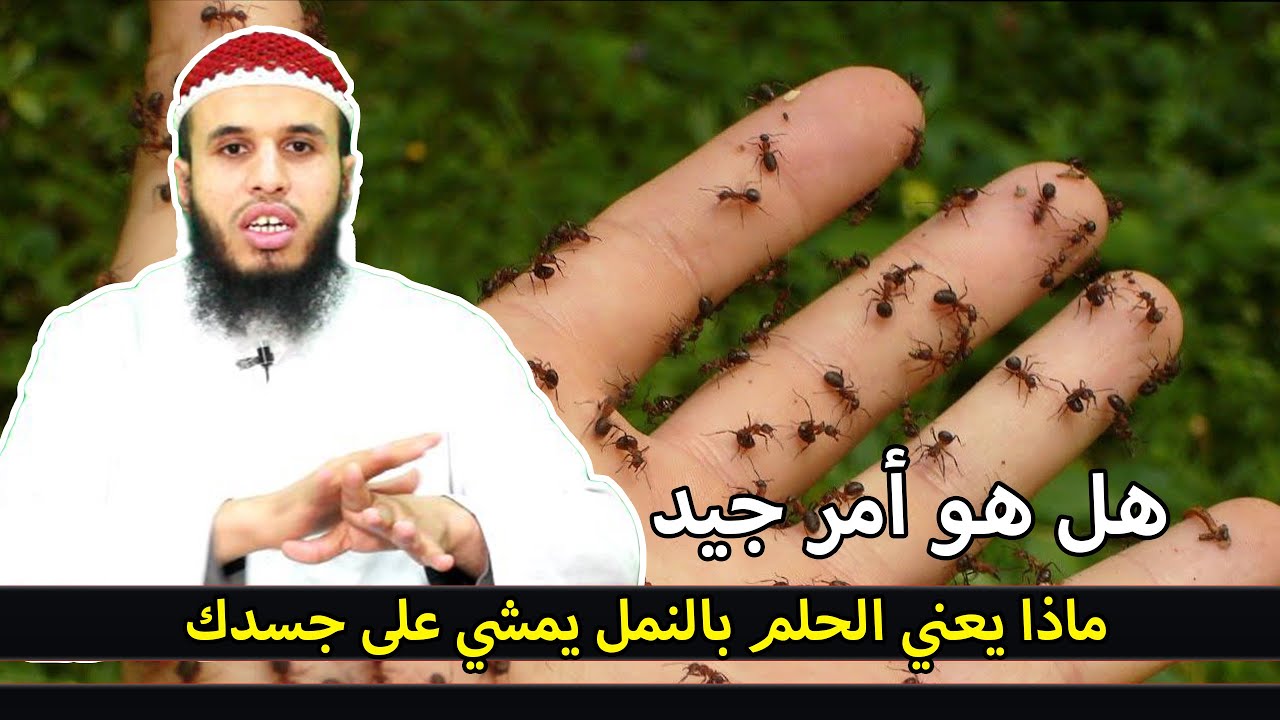 ماذا يعني الحلم بالنمل يمشي على جسدك .