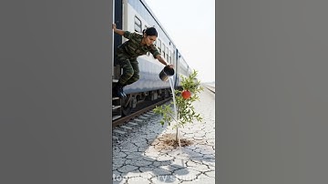 A female soldier saved a pomegranate tree from drying up by watering it.😭#ai #plants #save #watering