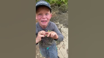 Thumbnail of Crawfish bit my finger!