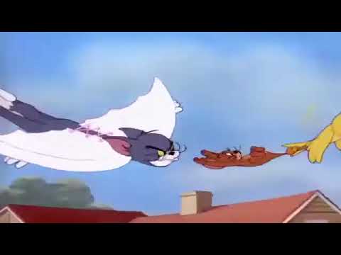 توم وجيري الحلقة 63 بعنوان قط طائر الجزء 3