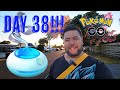1 Hour in 4 Minutes Day 38 Hunting the Shiny Galarian Birds