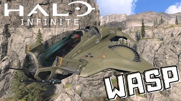 Halo Infinite Wasp Breakdown