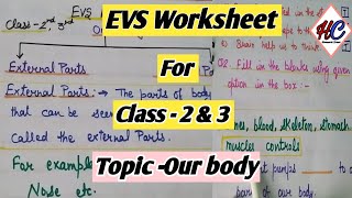 EVS worksheet for class 2 & 3 || Topic  - our body || EVS for class 2 || EVS for class 3