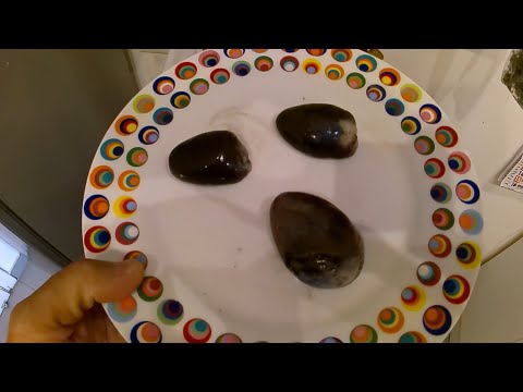 La malandra, pasta