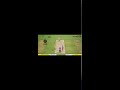 Dream cricket 24 ipl rcb vs mm live stream #livestream#gaming #dc24 like and subscribe