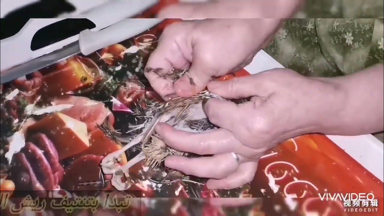 طريقة تنظيف السمان في المنزل بكل سهولة، Easily clean quail YouTube