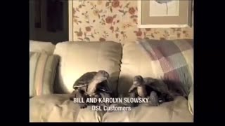 The Slowskys from Comcast.