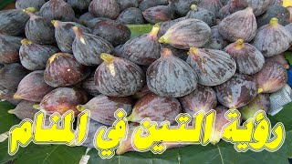 تفسير الاحلام رؤيا التين في المنام ومعناه A vision of a fig in a dream