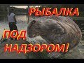 Рыбалка на донку на слиянии двух рек Вороны и Хопёр. Бобры обнаглели!