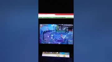 Rune Factory 4 - Bird is the word