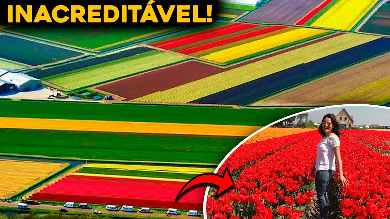 CONHEÇA A MAIOR FAZENDA DE FLORES DO BRASIL E DO MUNDO - INCRÍVEL!