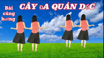 🌳CÂY ĐA QUÁN DỐC - BÀI CÙNG HƯỚNG 🌳.HƯỚNG DẪN BẤM 🔽.