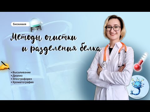 Методы очистки и разделения белка