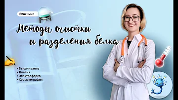 Методы очистки и разделения белка