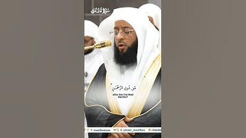أولم يروا الى الطير فوقهم صافات ويقبضن_تلاوة مرئية_صلاة الفجر 24 ربيع الآخر 1446هـ_الشيخ بدر التركي