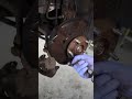 Satisfying Honda Civic Brake Job! 🔧