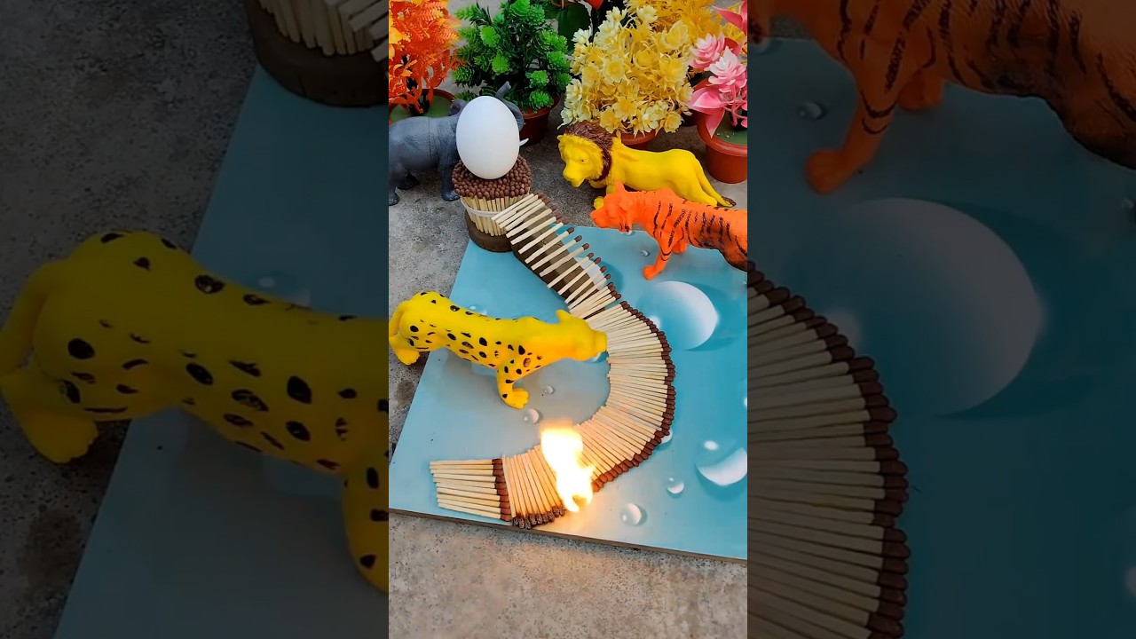 Tom🍓 Jerry 🍓 Very Eesy Made Soft Boiled Eggs. Episode 70 