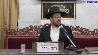הסיפור המפורסם של הסטייפלר הקדוש והמקל  מפיו המתוק של מו״ר הרב מאיר אליהו