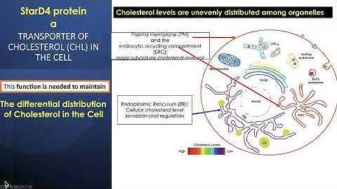 QCMS Invited Lecture 2025