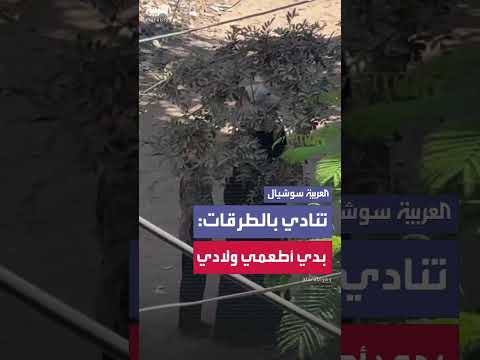 أم في غزة تناشد توفير الغذاء لأطفالها في الشوارع