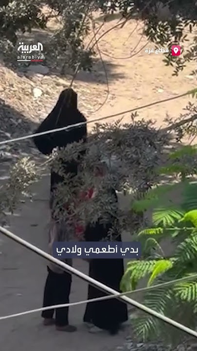         :       
 - نشر قبل 41 دقيقة