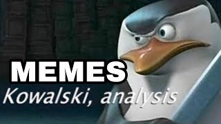 KOWALSKI ANALYSIS MEMES COMPILATION