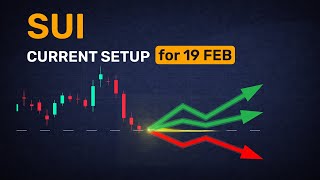 Major SUI forecasts for tomorrow — brought together here
