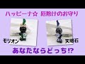 厄除け・邪気払いのお守り！天眼石とモリオンのハッピーナ☆あなたならどっち！？