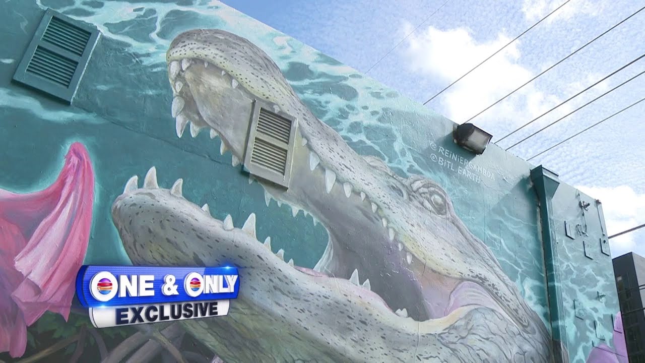 New mural in Wynwood teaches lesson about Florida’s environment