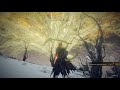 ELDEN RING NG+7 GIGANTE DE FUEGO NO HIT ESPADA CURVA DEL BANDIDO EN DUALES EN VENENO