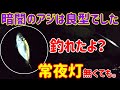 アジング場所選びの疑問②「常夜灯が無い場所って絶対釣れないの？」の答えがわかる動画【初心者の疑問】