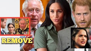 30 Dukes Of England Rally In New Petitions To Remove Harry And Meghan  From Royal Website