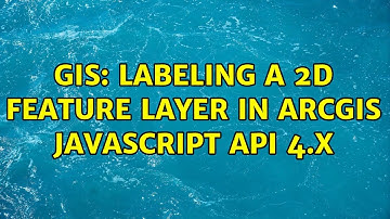 GIS: Labeling a 2D feature layer in ArcGIS javascript API 4.x