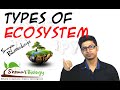 Classifying Ecosystems Through Nature Duration and Size