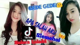 Tik Tok Cewek Sexy Apa Salah Aku Versi 2019