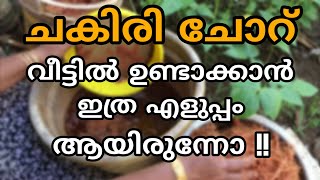 കൃഷിക്ക് ഏറ്റവും ഗുണപ്രദം | chakiri choru making in malayalam | krishi compost tips kitchen garden