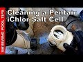 Cleaning a Pentair iChlor Salt Cell: A Step by Step Video Guide