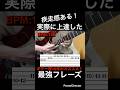 【疾走感ある！】ギター速弾き練習　ギター歴10年がオススメ！実際に上達した最強フレーズ！【TAB付】#shorts