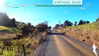 Treadmill Workout Scenery | Virtual Running Videos | Virtual Run 30 Minutes New Zealand