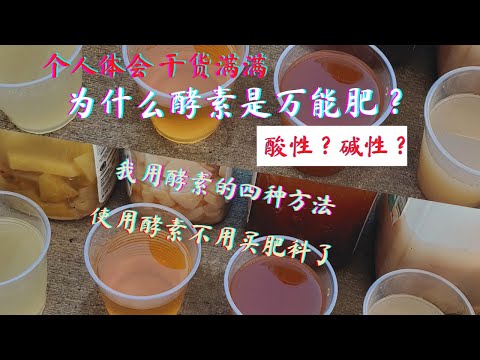 【自制有机肥】环保酵素是什么肥？ 不同材料做出的酵素一样吗？怎么使用酵素？一次把环保酵素说清楚